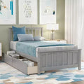 Luxystar Twin size Platform Bed with 2 Drawers for Bedroom and Guest Room