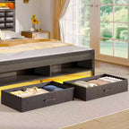 Letto Imbottito Matrimoniale Francese Nero, Strisce LED Dimmerabili, Stazione di Ricarica USB, Testiera Contenitore e 2 Cassetti, Resistente, Facile da Montare